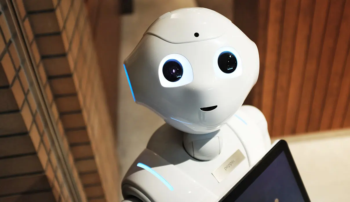 Avada Investment Project