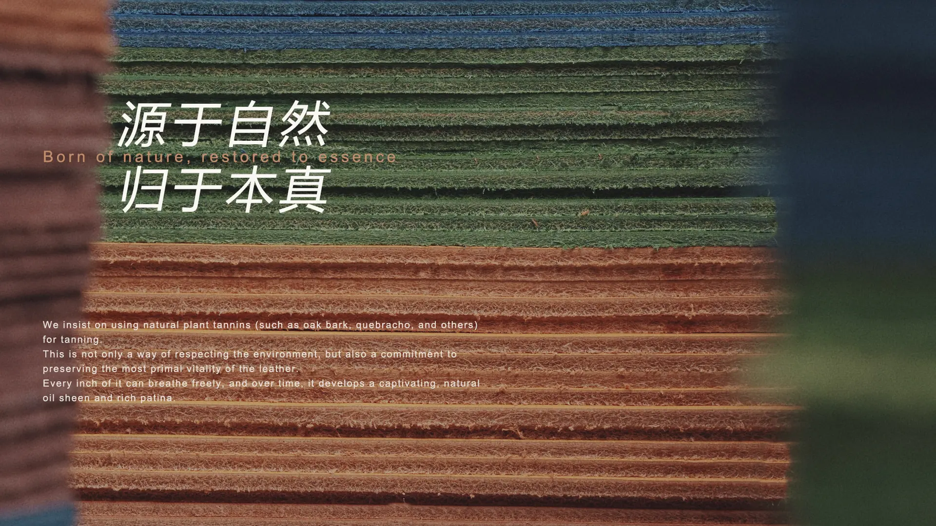 未标题-4